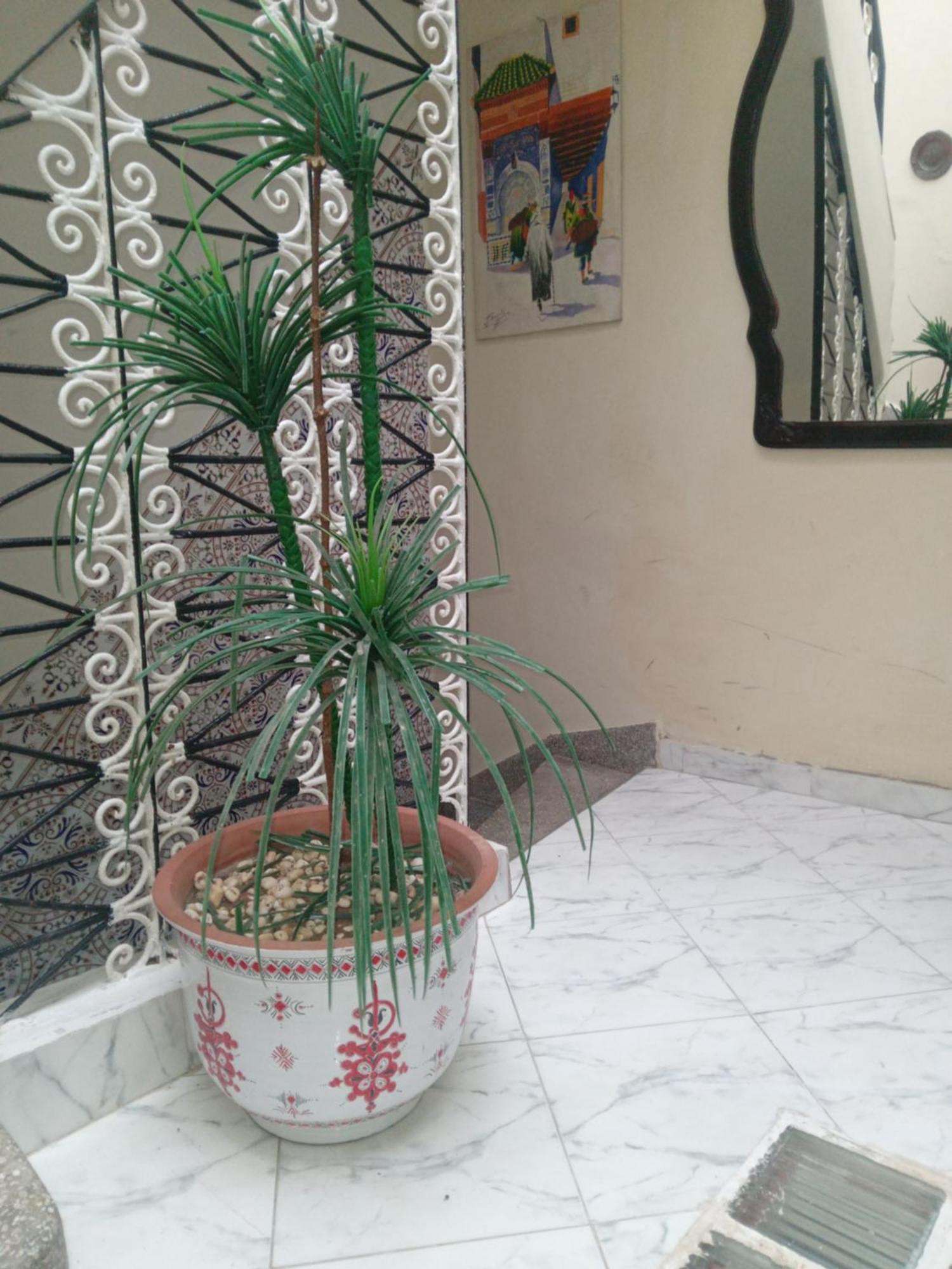 Riad Kamal Rabat Extérieur photo